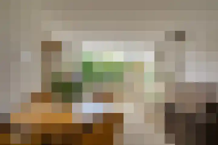 Plataan 11 Naaldwijk thumbnail 9