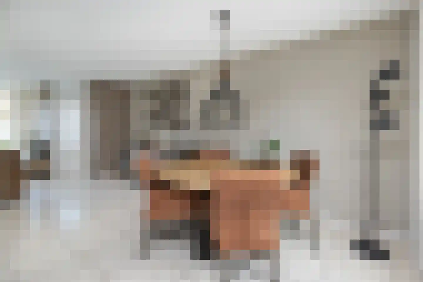 Plataan 15 Melissant thumbnail 10