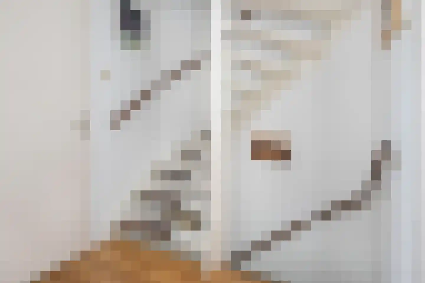 Plataan 15 Melissant thumbnail 16