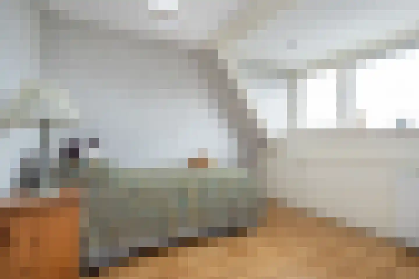 Plataan 15 Melissant thumbnail 18