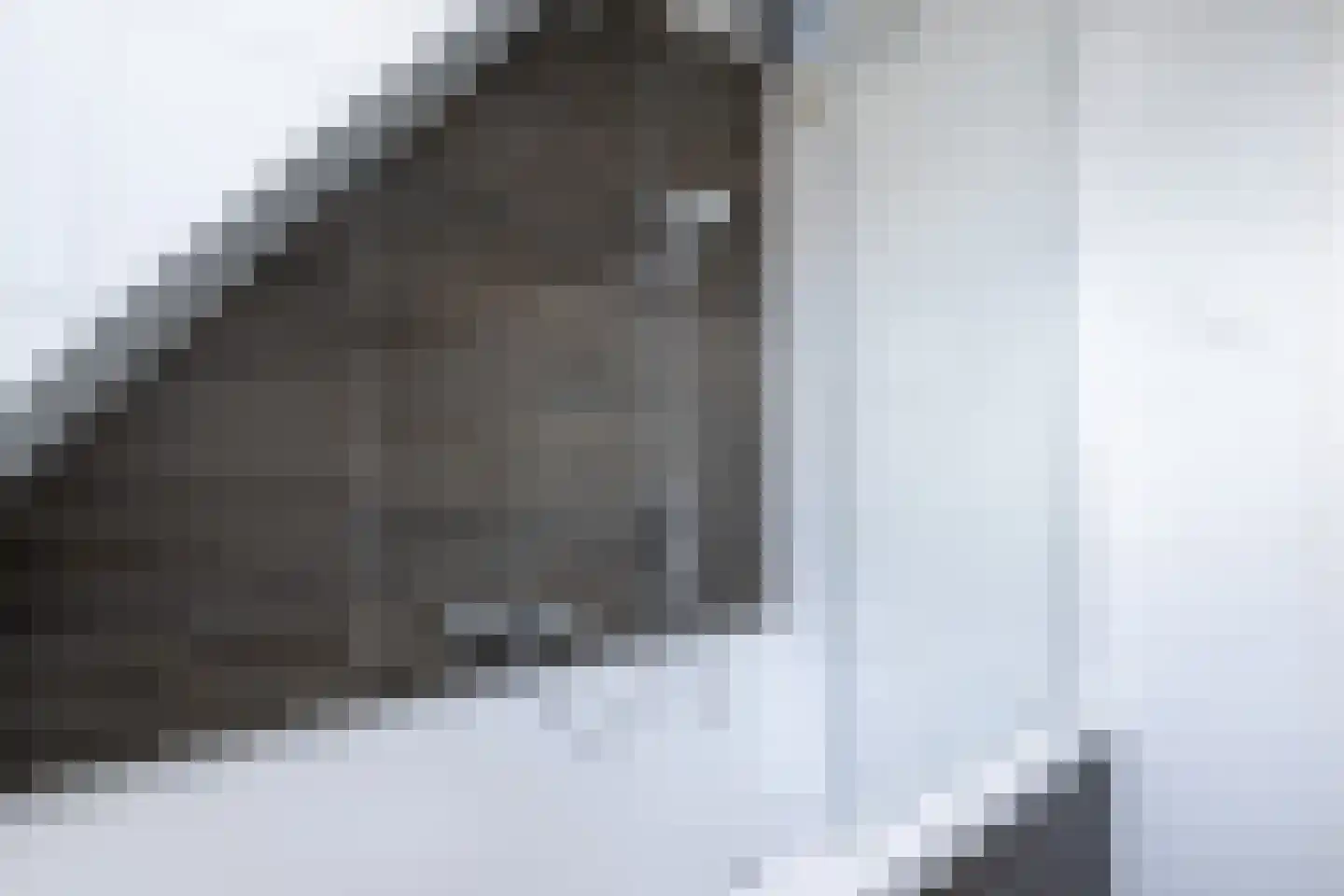 Plataan 15 Melissant thumbnail 22