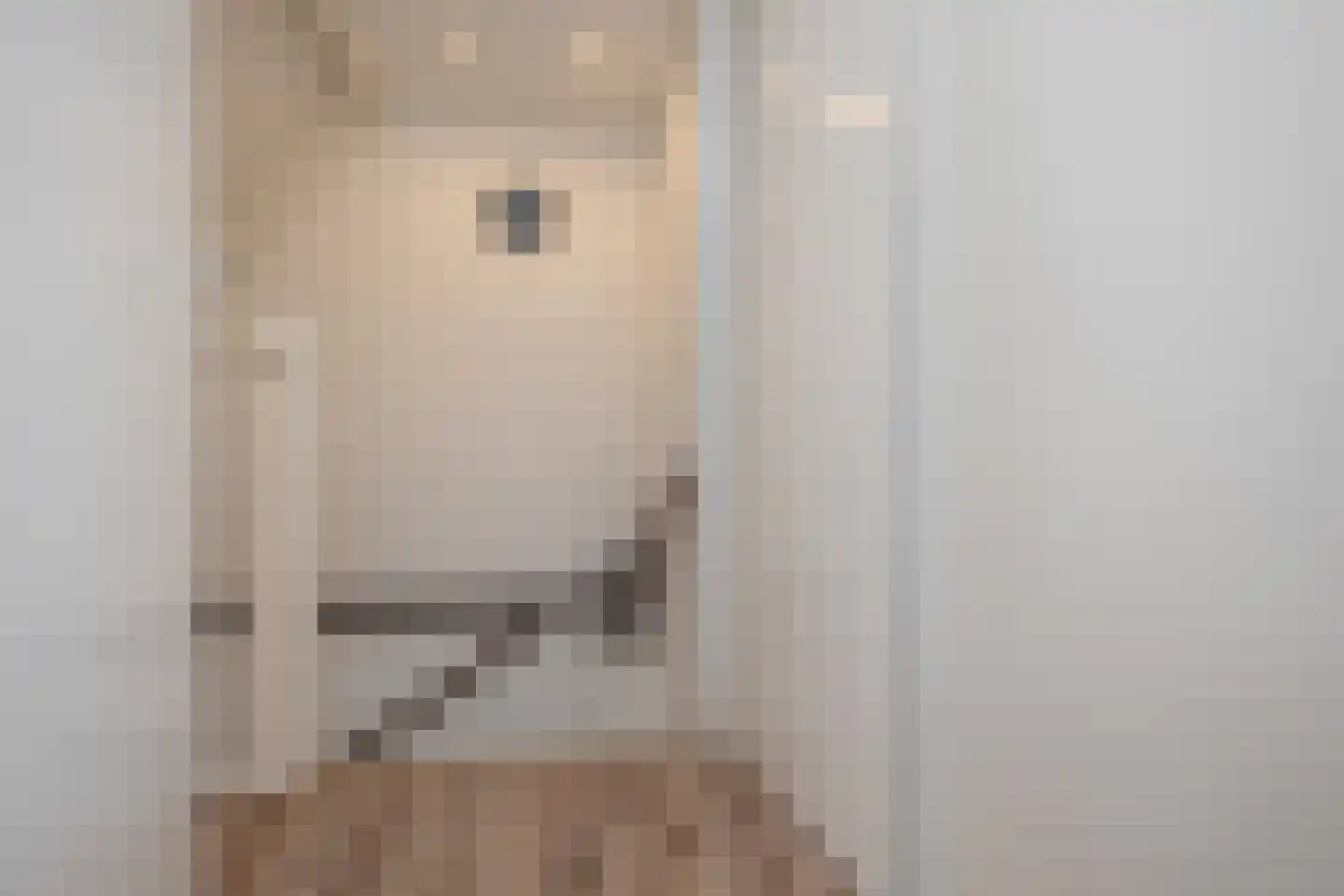 Plataan 15 Melissant thumbnail 23