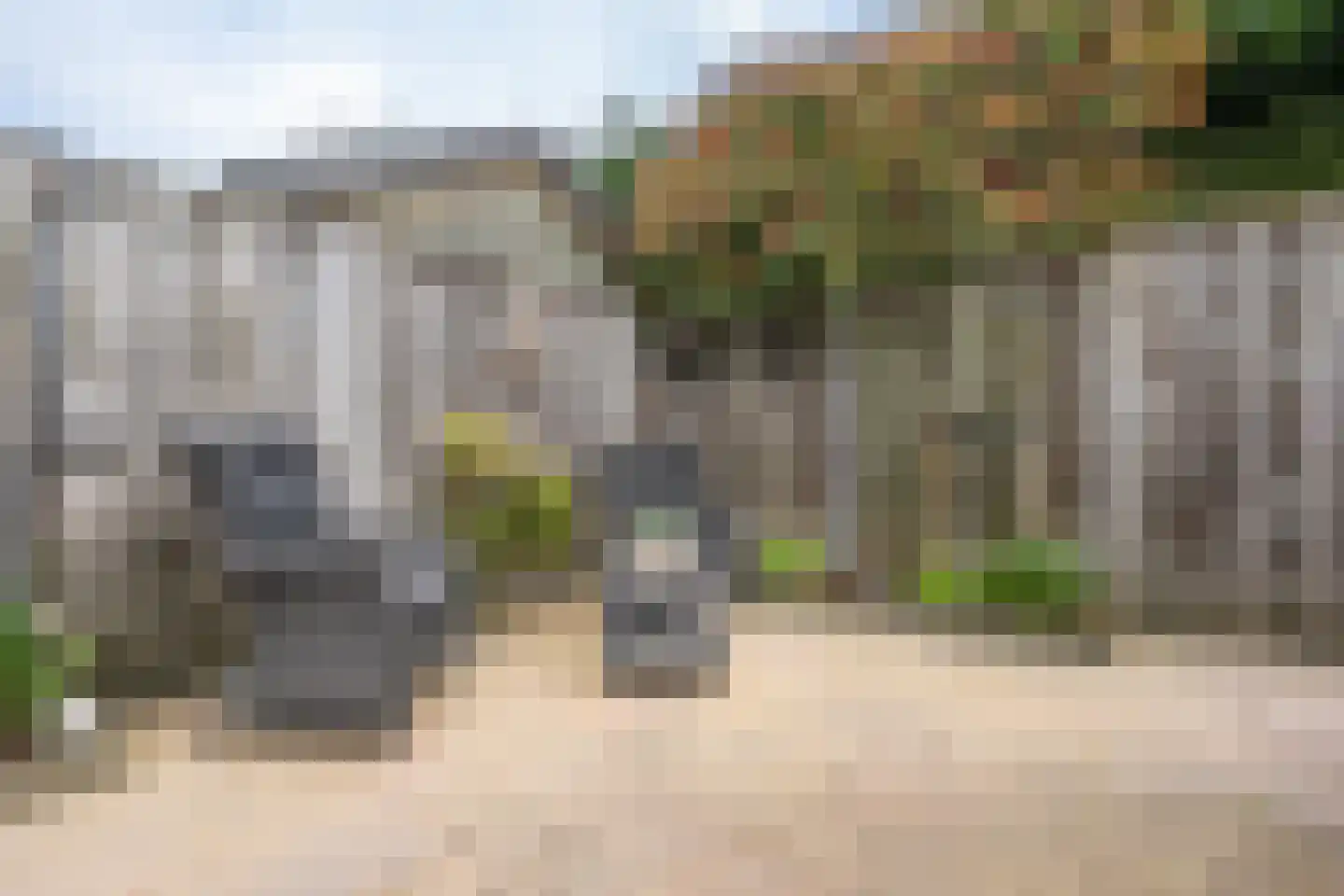 Plataan 15 Melissant thumbnail 26