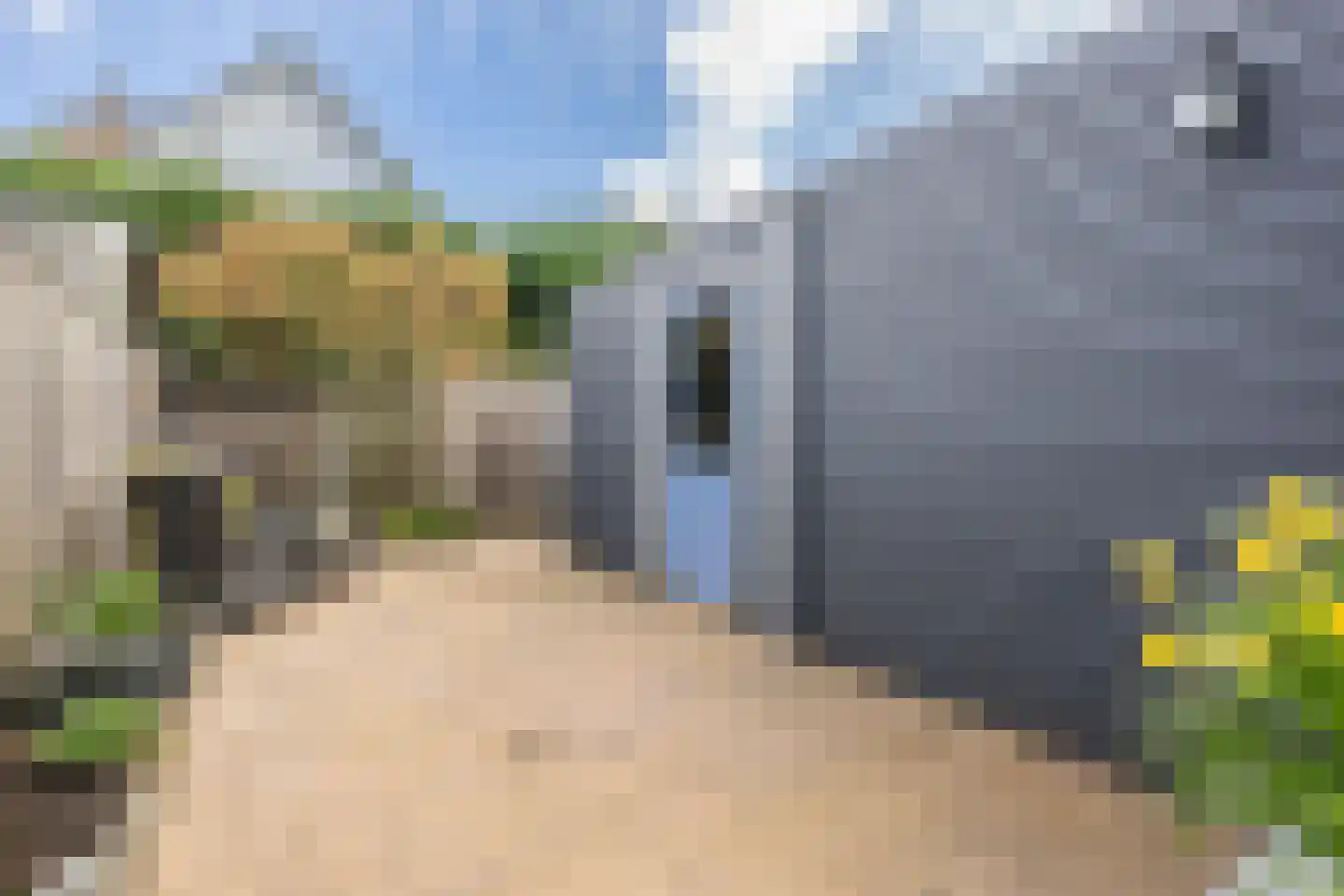 Plataan 15 Melissant thumbnail 27