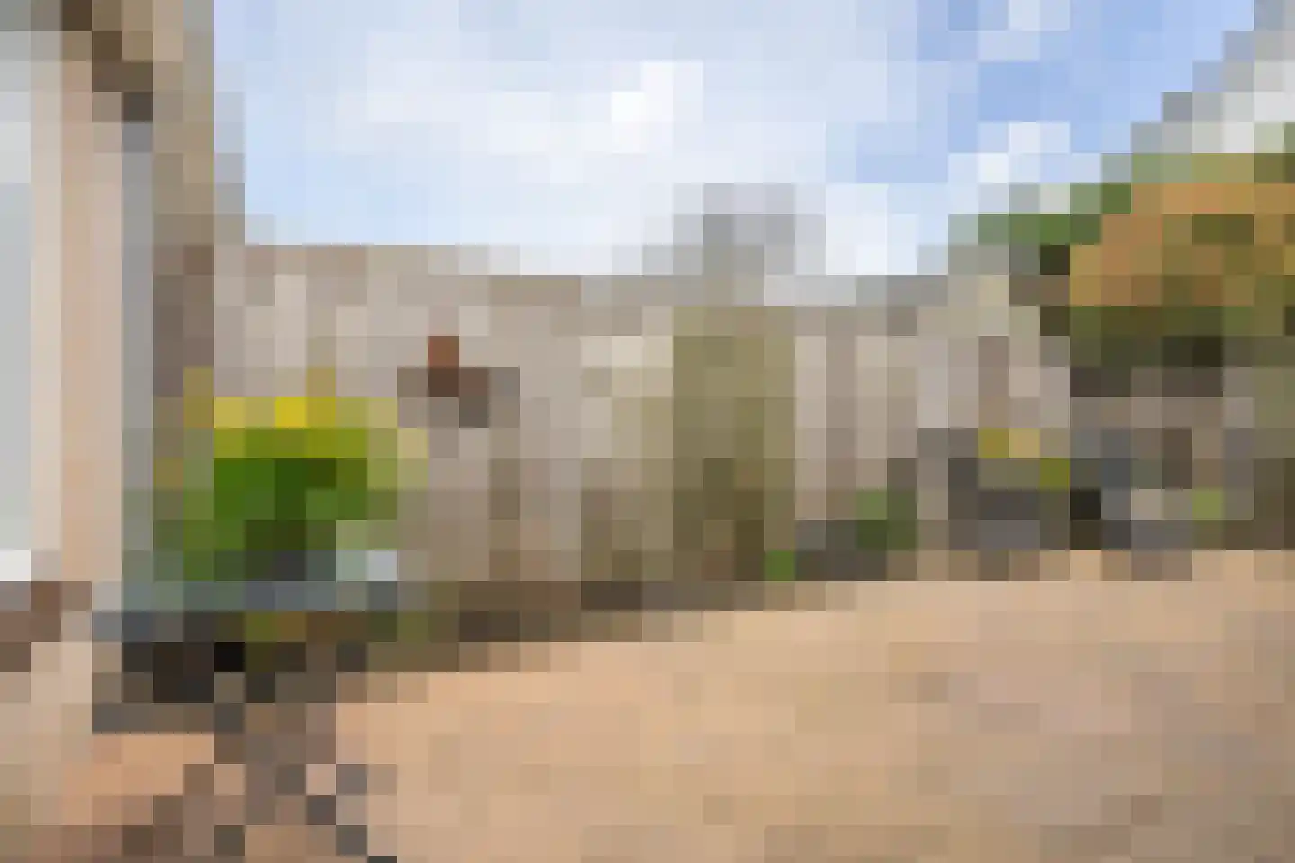 Plataan 15 Melissant thumbnail 28