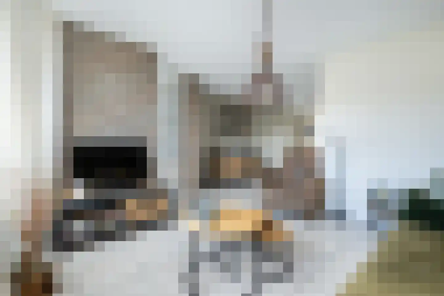 Plataan 15 Melissant foto 3