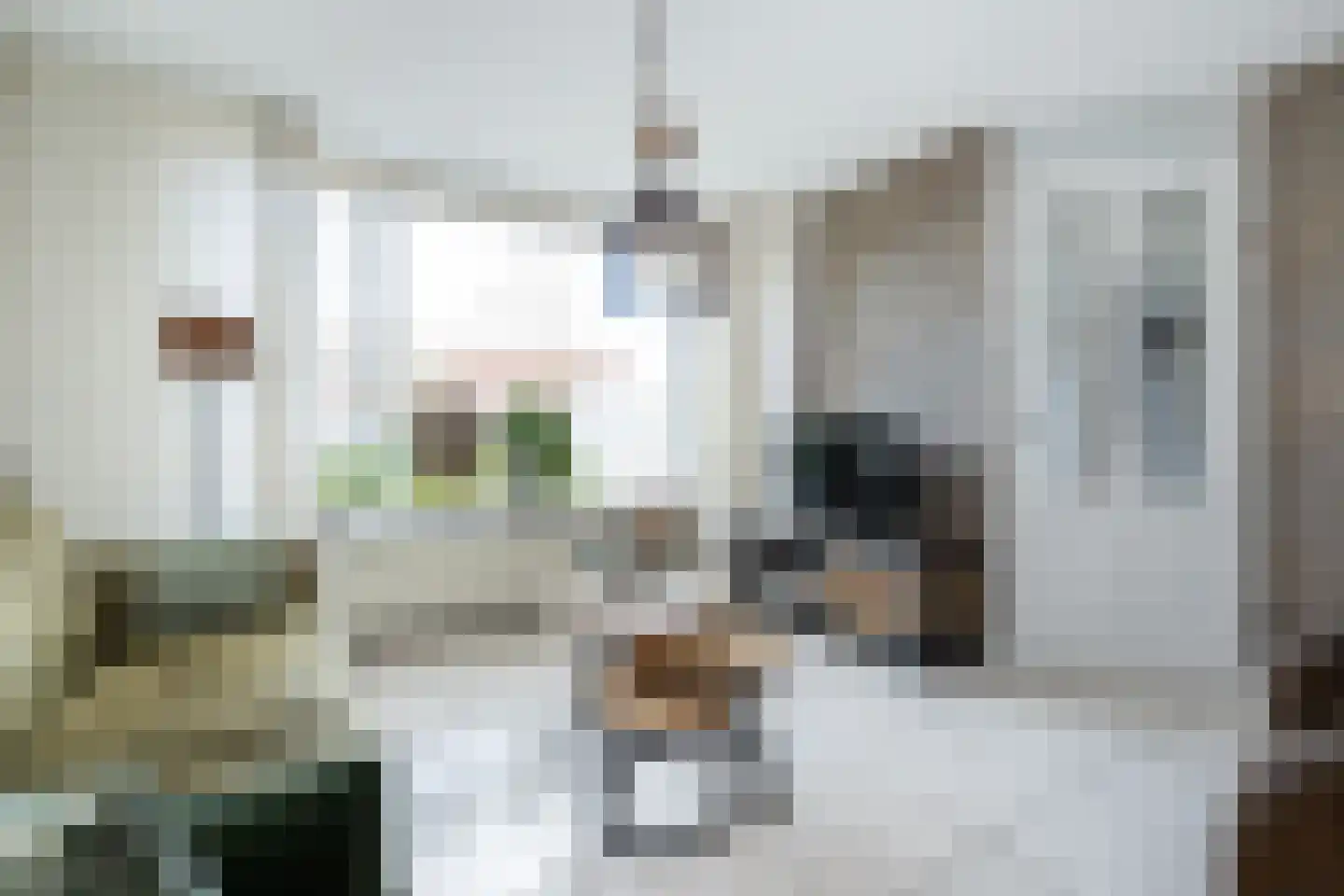 Plataan 15 Melissant thumbnail 7