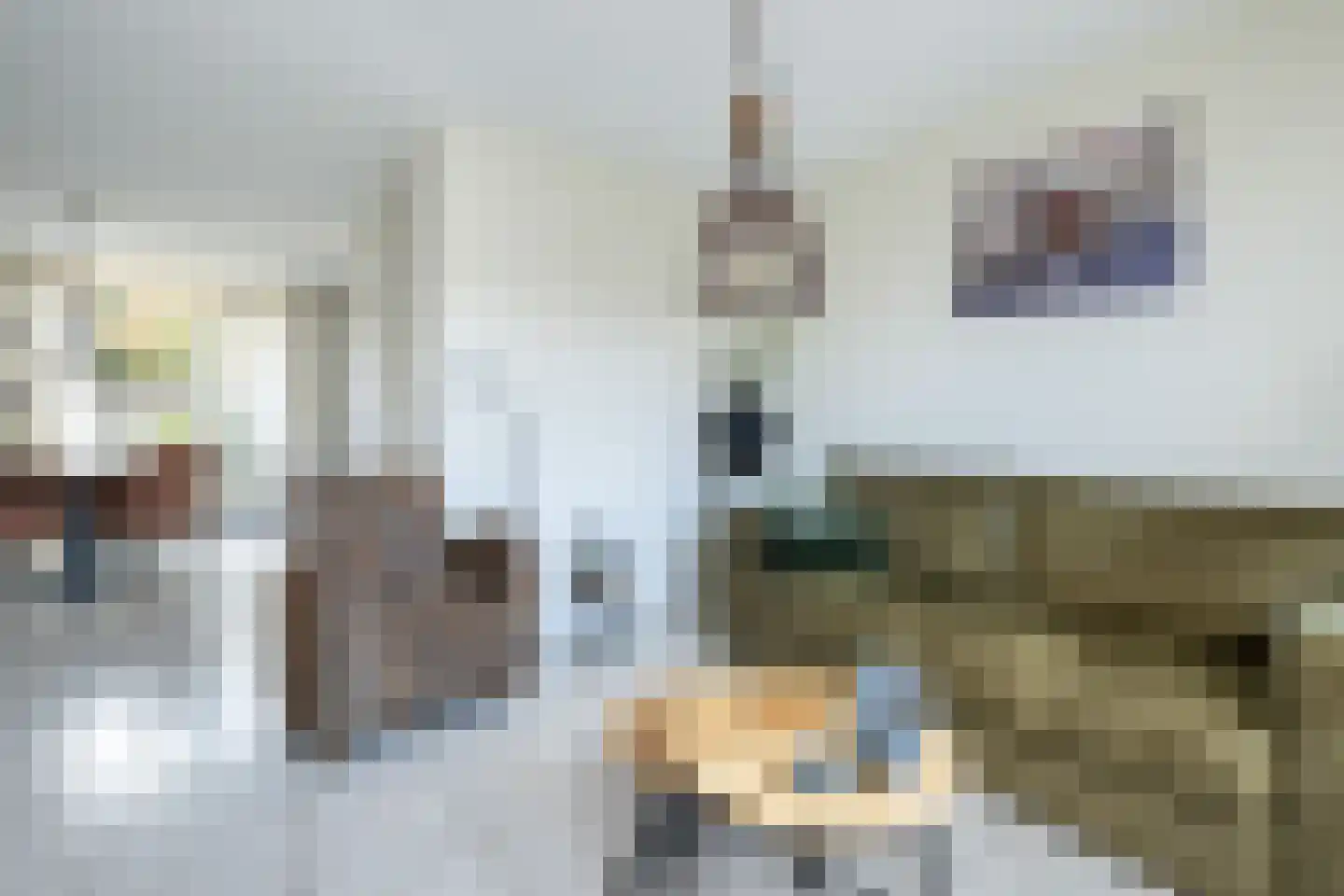Plataan 15 Melissant thumbnail 8