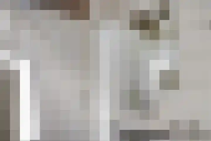 Plataan 20 Heino thumbnail 12