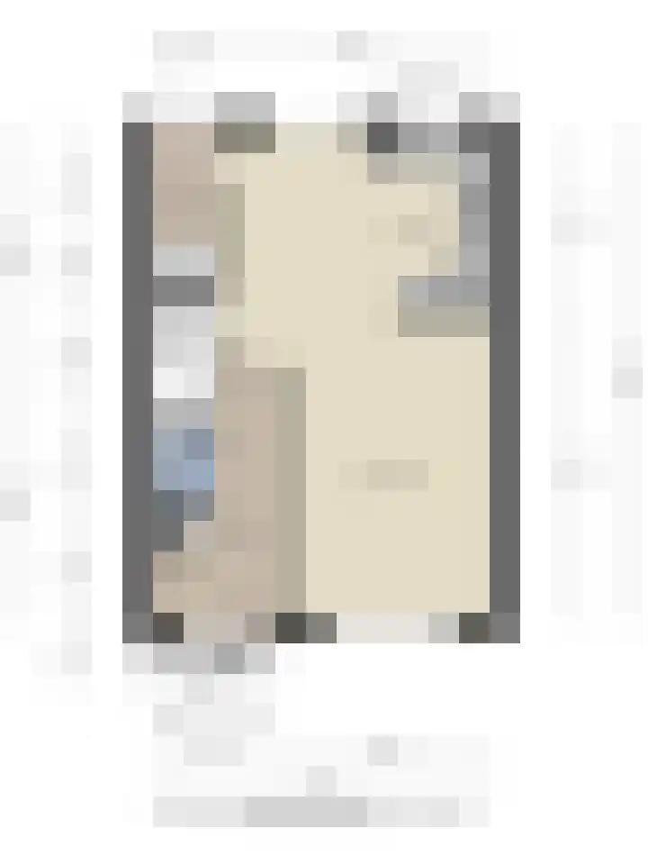 Plataan 20 Heino thumbnail 31