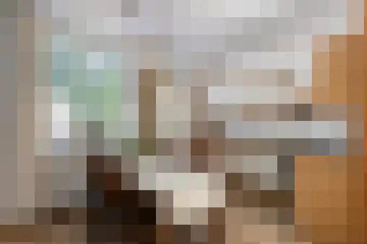 Plataan 20 Heino thumbnail 8