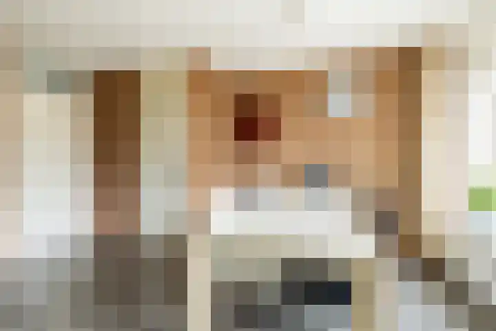 Plataan 27 Oost West en Middelbeers thumbnail 11