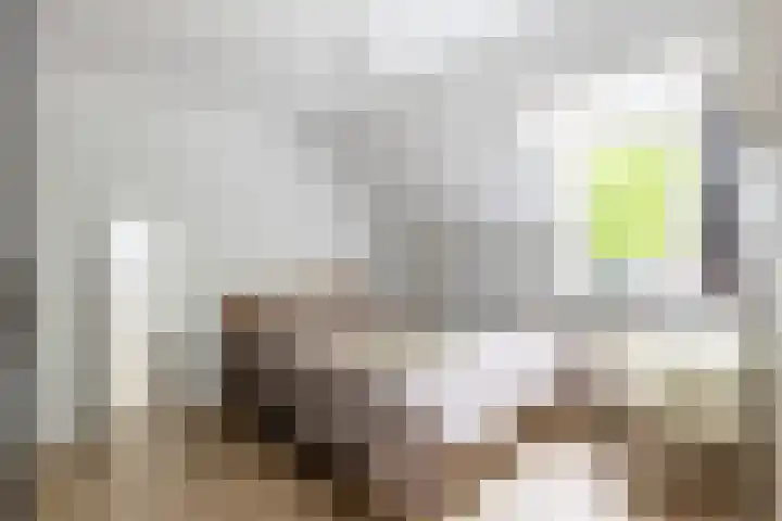 Plataan 27 Oost West en Middelbeers thumbnail 19