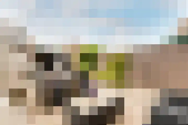 Plataan 27 Oost West en Middelbeers thumbnail 29