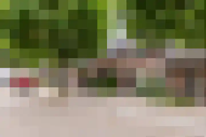 Plataan 27 Oost West en Middelbeers thumbnail 33