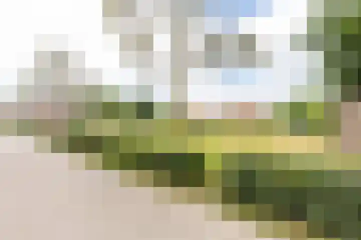 Plataan 27 Oost West en Middelbeers thumbnail 34