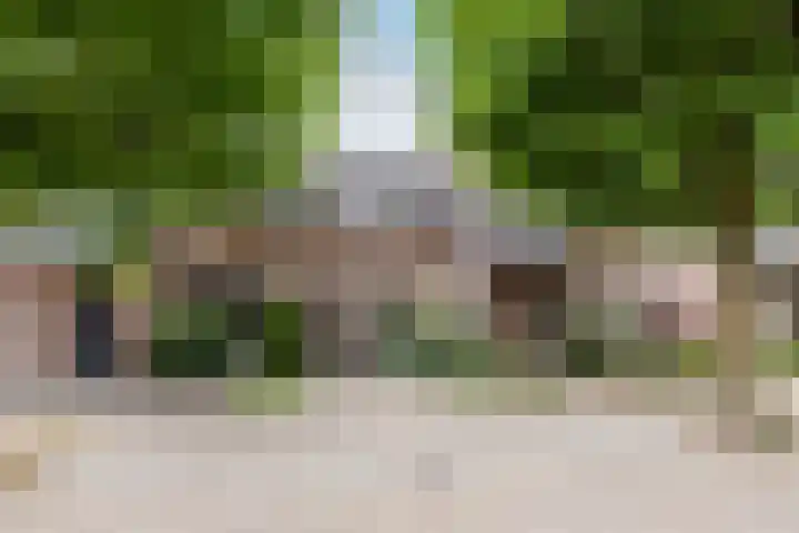 Plataan 27 Oost West en Middelbeers thumbnail 39