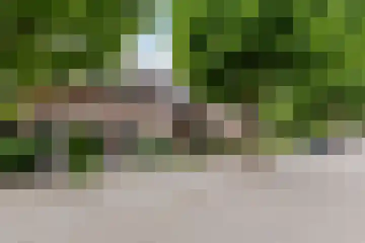 Plataan 27 Oost West en Middelbeers thumbnail 5