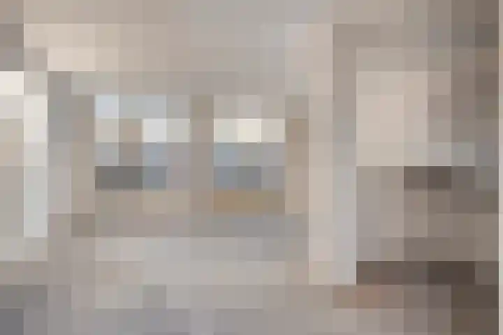 Plataan 28 Mierlo thumbnail 14