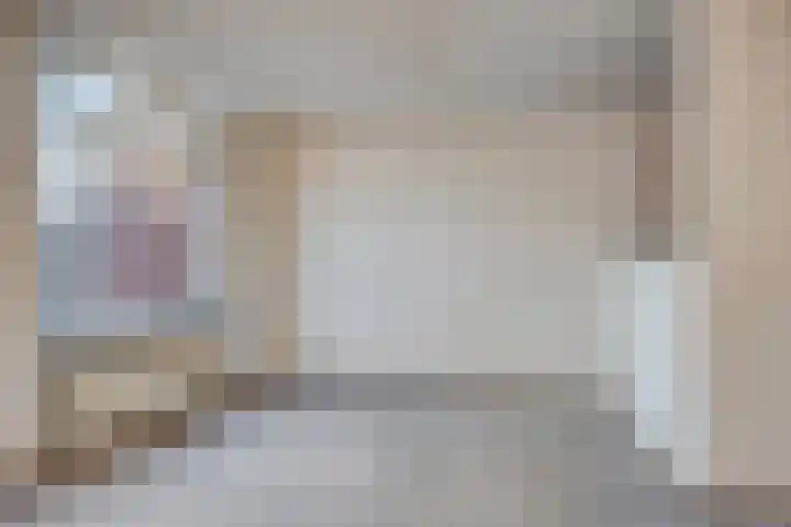 Plataan 28 Mierlo thumbnail 15