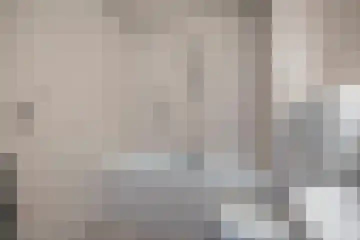 Plataan 28 Mierlo thumbnail 23
