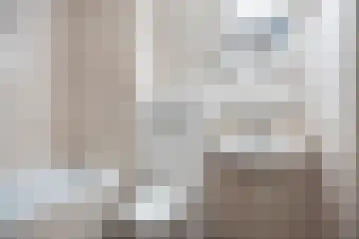 Plataan 28 Mierlo thumbnail 24