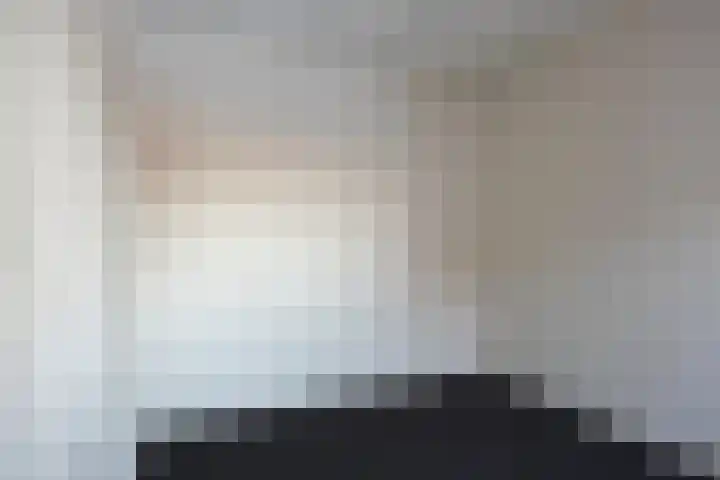 Plataan 28 Mierlo thumbnail 28