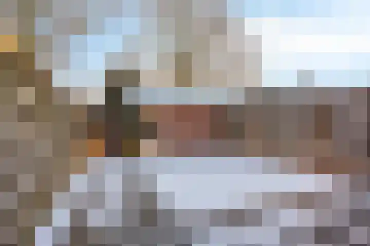 Plataan 28 Mierlo thumbnail 32