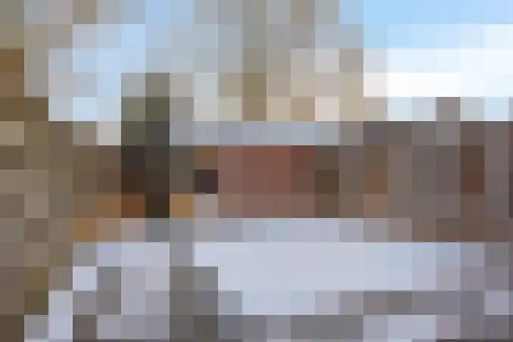 Plataan 28 Mierlo thumbnail 34