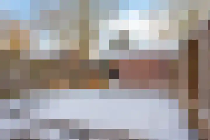 Plataan 28 Mierlo thumbnail 35