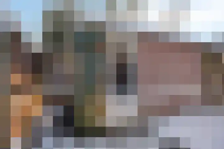 Plataan 28 Mierlo thumbnail 36