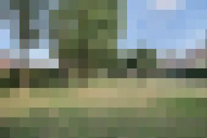 Plataan 28 Mierlo thumbnail 39