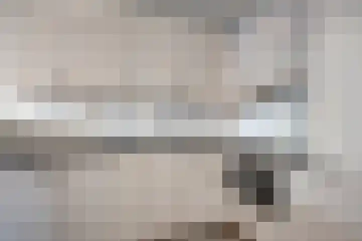 Plataan 28 Mierlo thumbnail 4