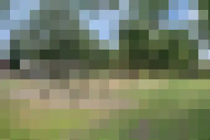 Plataan 28 Mierlo thumbnail 40