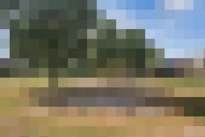Plataan 28 Mierlo thumbnail 41