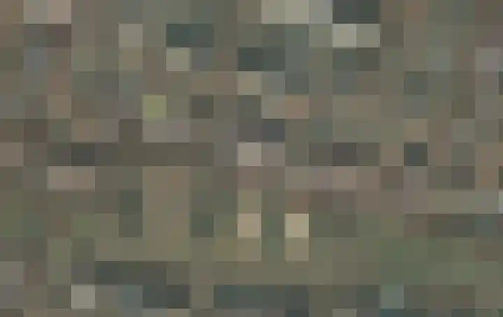 Plataan 28 Mierlo thumbnail 42
