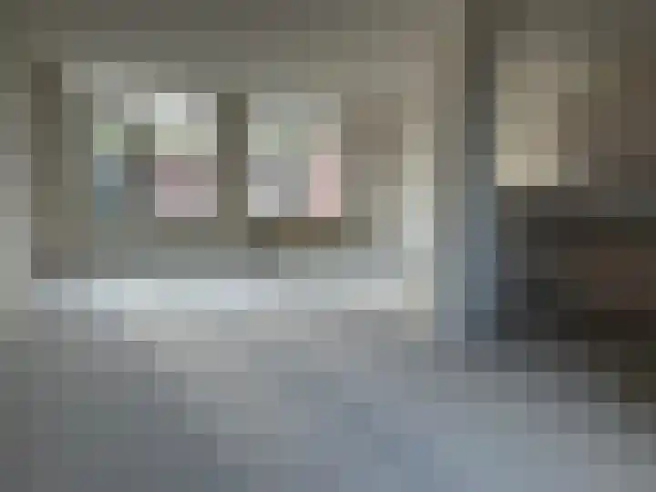 Plataan 28 Mierlo thumbnail 43