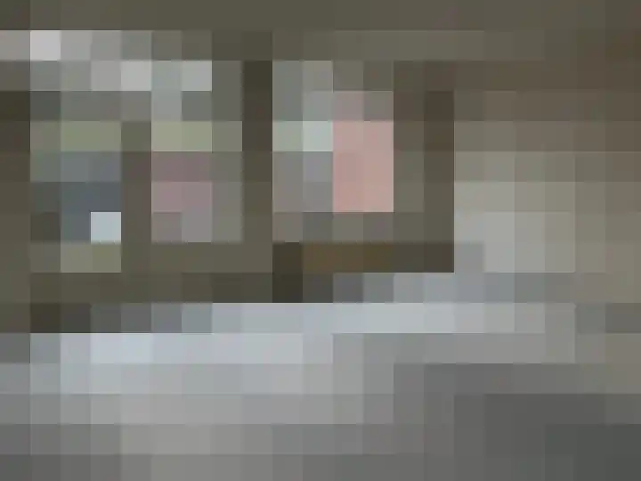 Plataan 28 Mierlo thumbnail 44