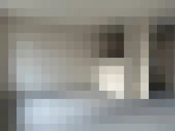 Plataan 28 Mierlo thumbnail 45