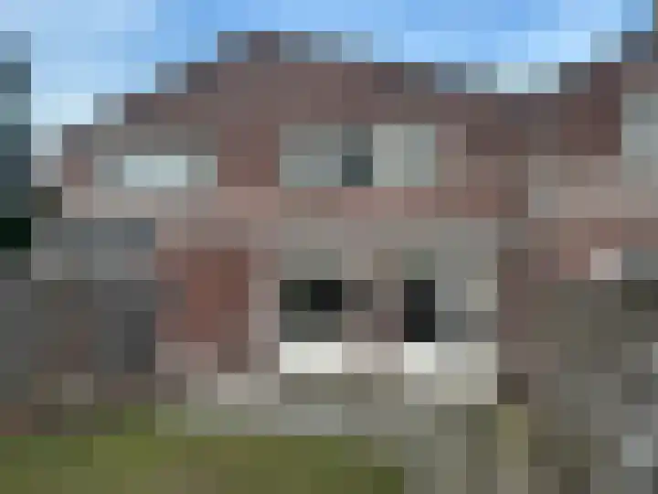 Plataan 28 Mierlo thumbnail 46