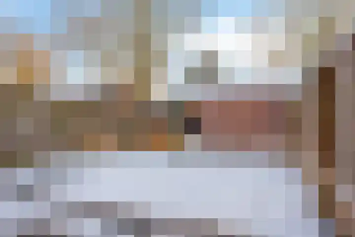 Plataan 28 Mierlo thumbnail 6