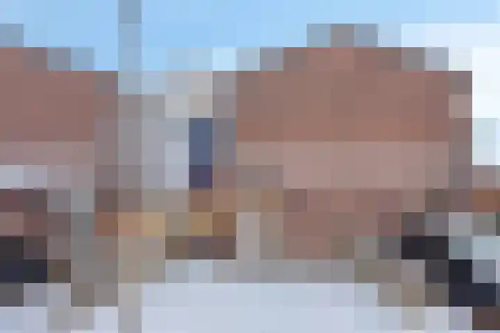 Plataan 28 Mierlo thumbnail 7