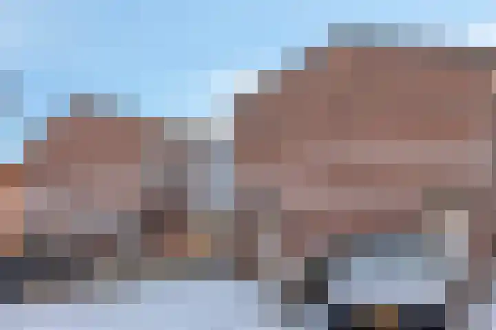 Plataan 28 Mierlo thumbnail 8