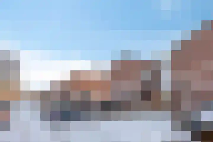Plataan 28 Mierlo thumbnail 9