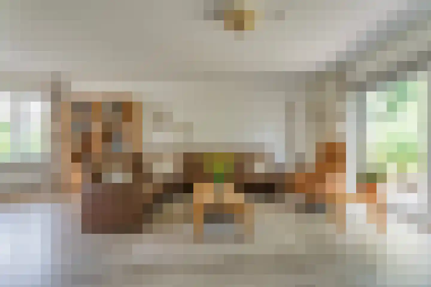 Plataan 3 Coevorden thumbnail 12