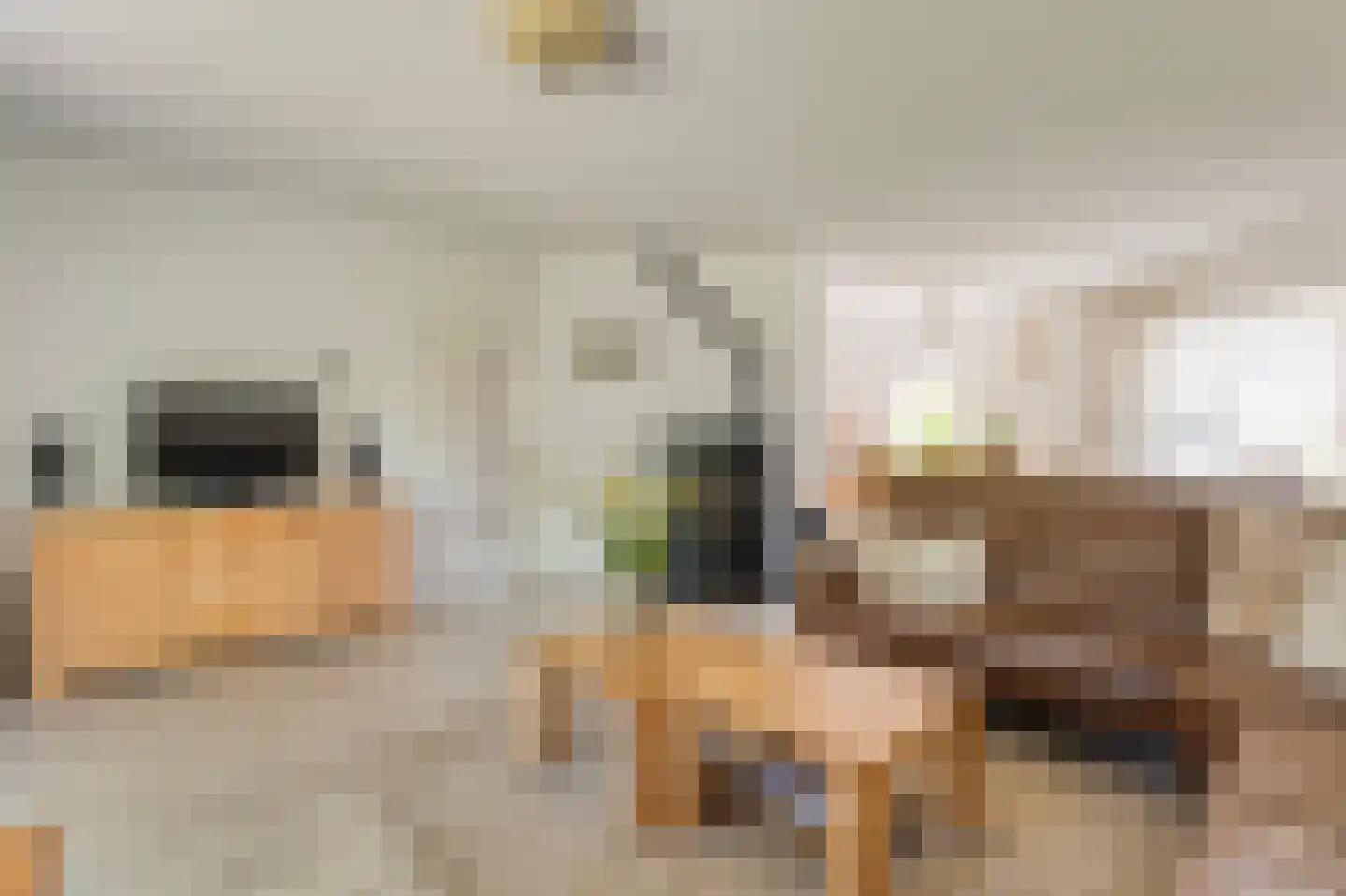 Plataan 3 Coevorden thumbnail 14