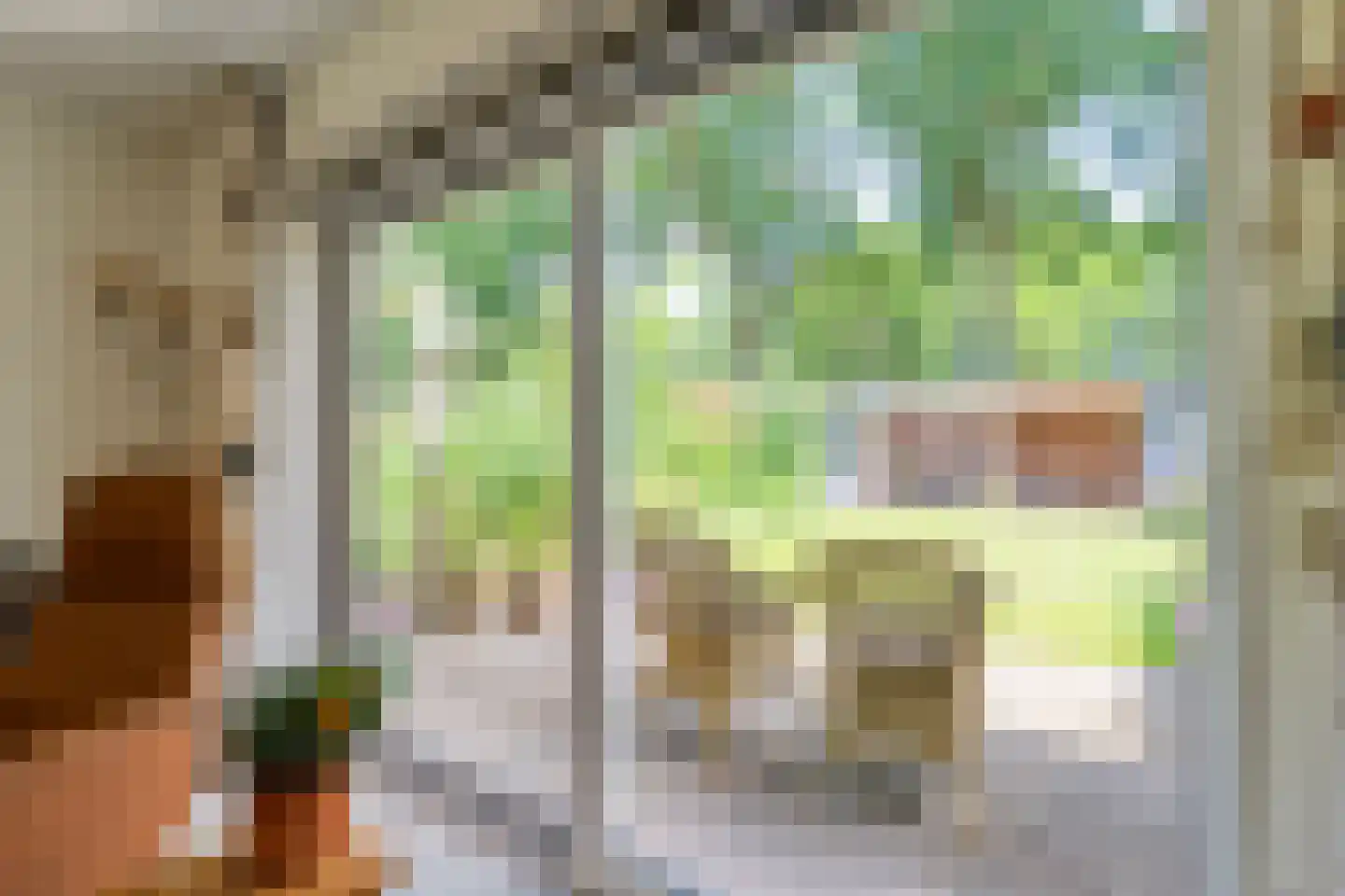 Plataan 3 Coevorden thumbnail 15