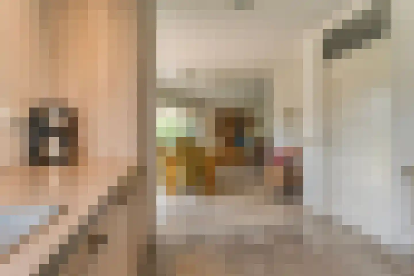 Plataan 3 Coevorden thumbnail 22