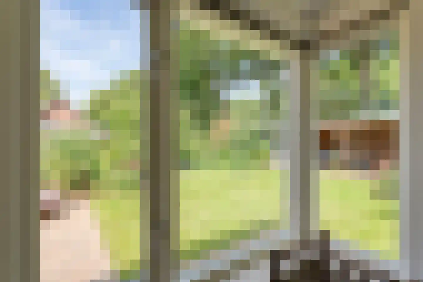 Plataan 3 Coevorden thumbnail 25