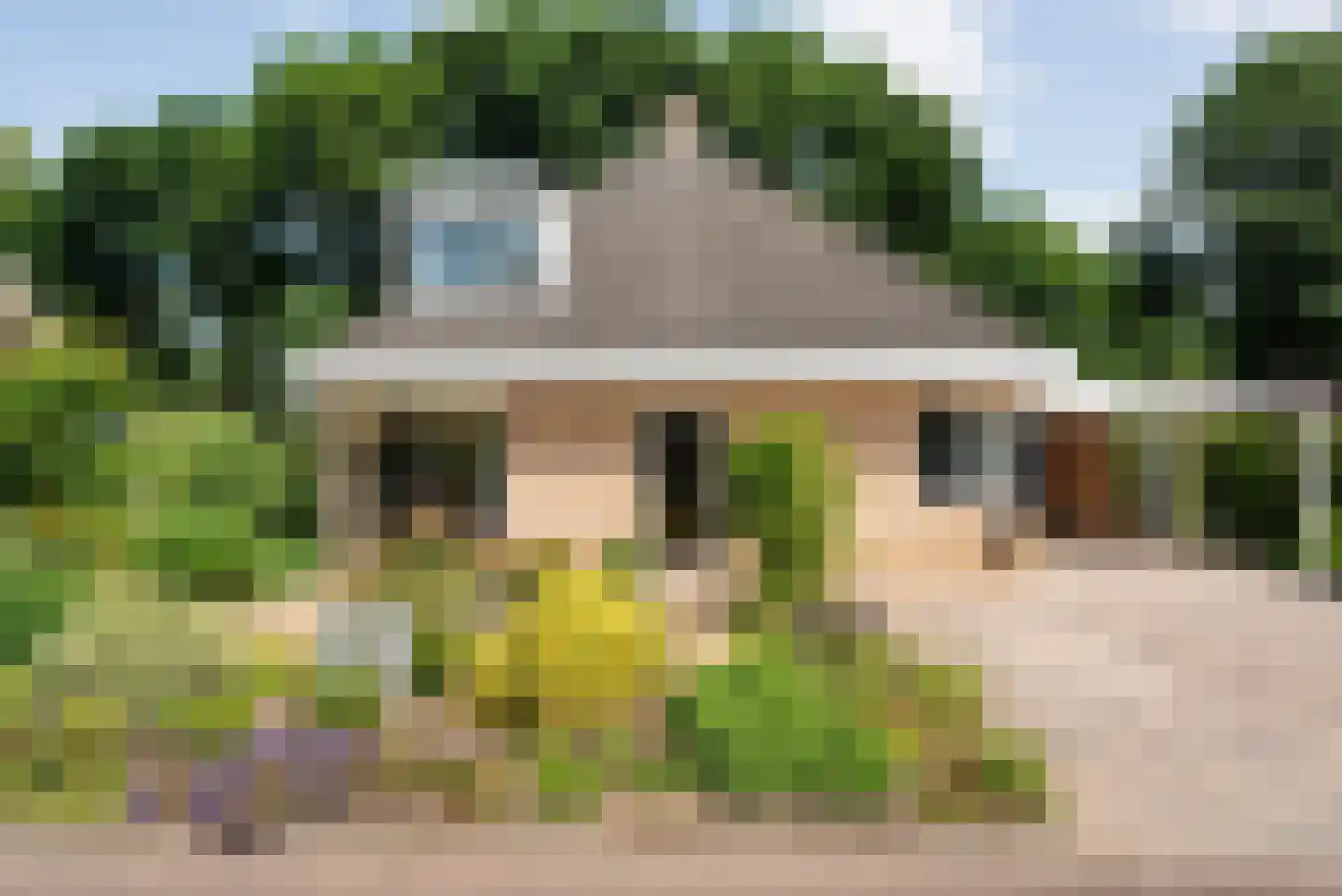 Plataan 3 Coevorden foto 3